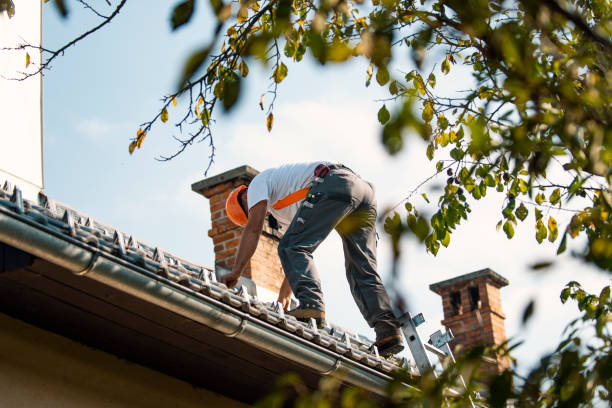 Best Gutter Installation and Roofing  in Longbranch, WA