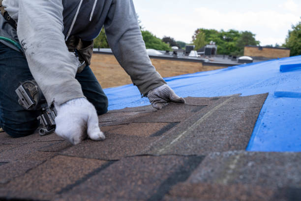 Best Local Roofing Companies  in Longbranch, WA