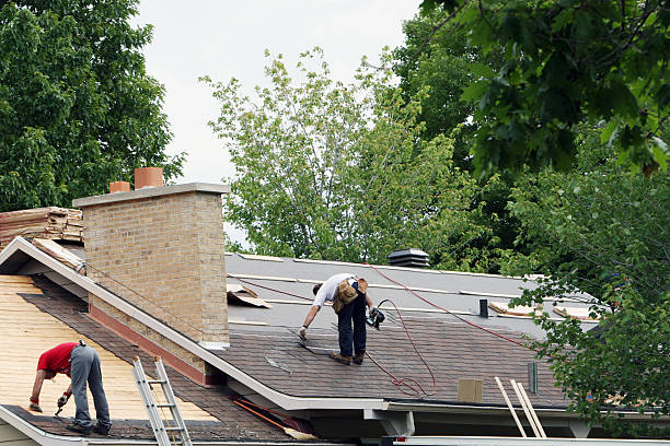 Best Roof Gutter Cleaning  in Longbranch, WA