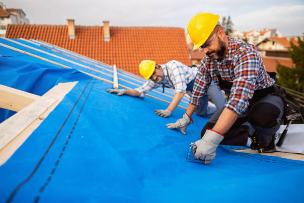 Best Sealant for Roof  in Longbranch, WA