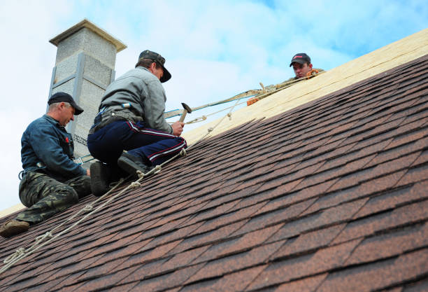Best Metal Roofing Contractor  in Longbranch, WA