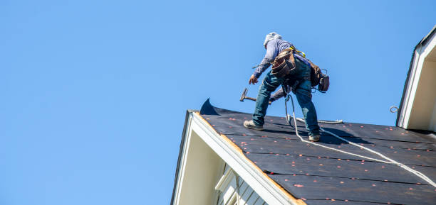 Best Roof Maintenance Services  in Longbranch, WA
